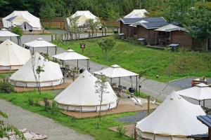 グランピング経営が失敗しやすい理由とは？対策を徹底解説